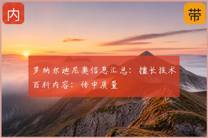 罗纳尔迪尼奥信息汇总：擅长技术百科内容：传中质量